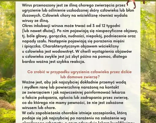 Wścieklizna na Mazowszu: pierwsze ognisko w 2026 roku. Alert dla Podlasia