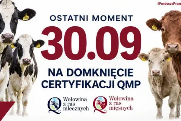 Certyfikat QMP dla rolników – zostały tylko trzy dni na jego uzyskanie