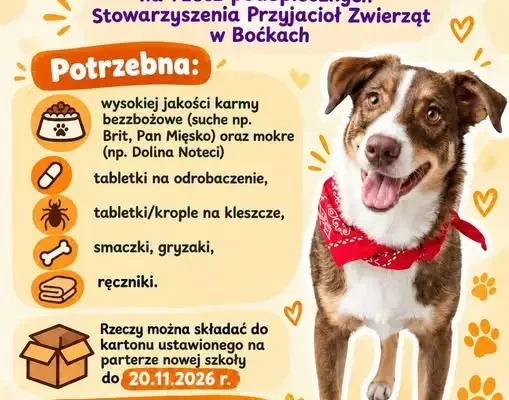 Dzień Kundelka w szkołach w Boćkach – zbiórka dla zwierząt