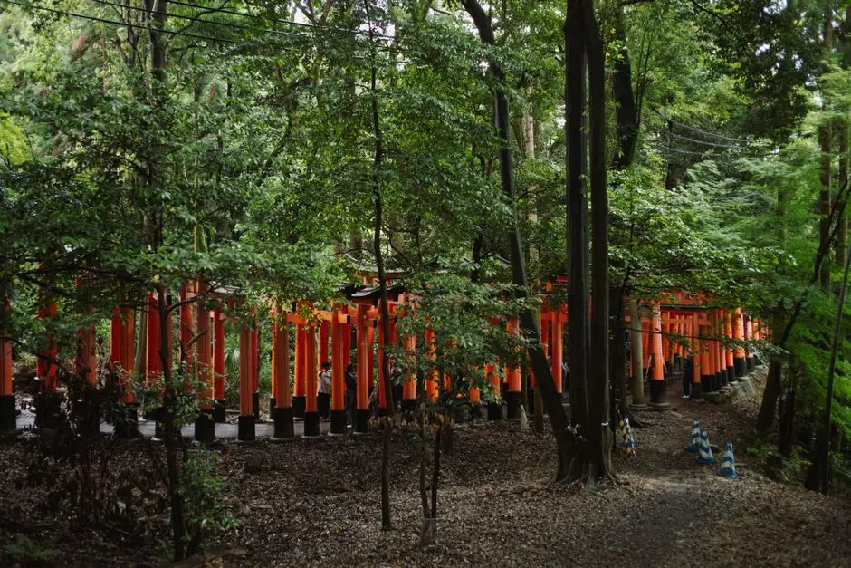 Shikoku Henro: 1200 km pielgrzymki wśród japońskiej dzikiej przyrody